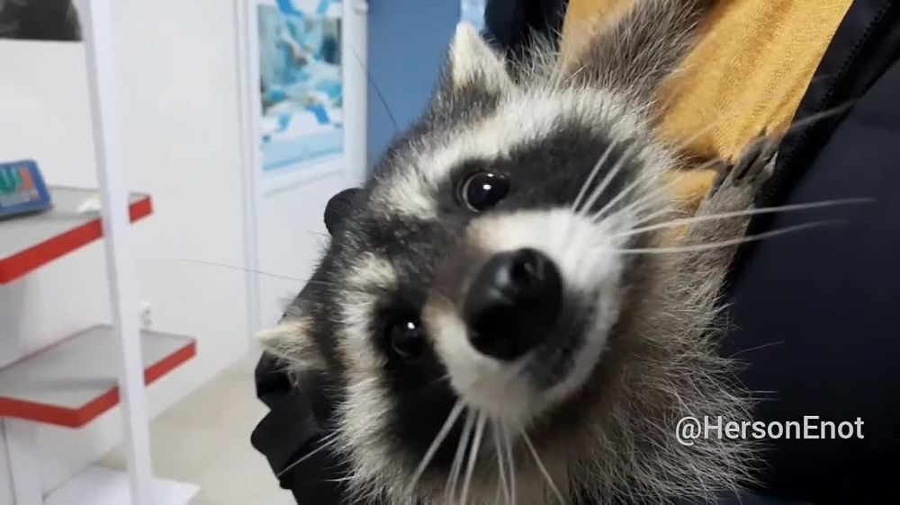 ���� �� �������: ������! ������� ��� � ����������!