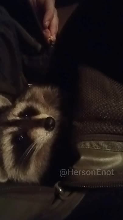 ���� �� �������: ����� ���������� ������� ���� ���!