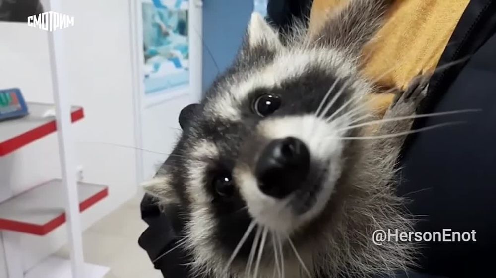 ���� "������", �������� ����� � ���� ��� �������, ��� �� ��� ���������� � ������