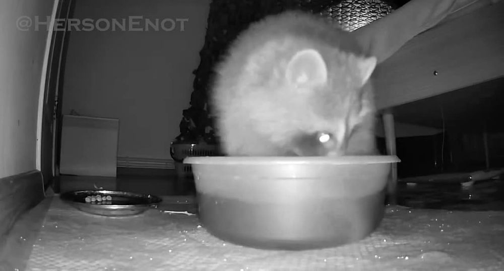 ���� �� �������: ���� ���� ��������. �������� ��������� � ��� �����������!!!