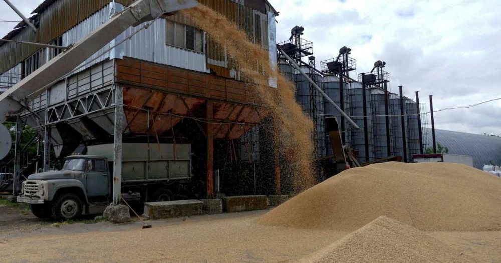 �� � ������ ����������� "��������" �������� �������� ���������������