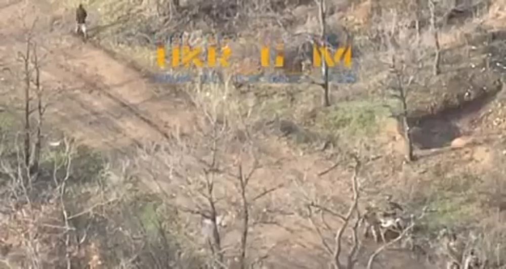 ������� ��� �� ���� ������� ������ ������������ �� �� �.�. ������������� �� ��������� �����������