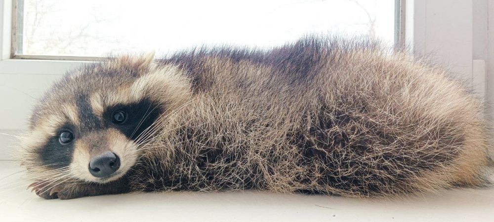 ���� �� �������: ���� ������� ��������!