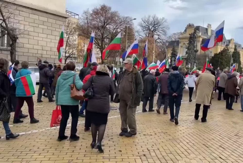 В Болгарии прошёл митинг с лозунгами за мир, нейтралитет страны и ее дружбу с Россией
