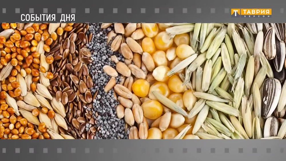 События дня в Херсонской области на 11.12.2022