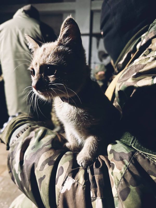 ������� � ��������. ������������ ����� �������� � ��� � ������, ��� � ������ �������� � ��������� ����������� �� ���...