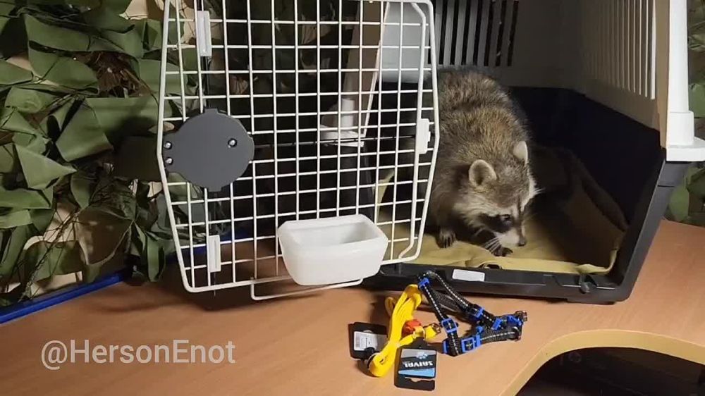 ���� �� �������: ������� ����! ������ � ������� ��������!