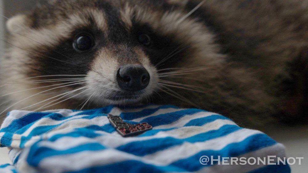 ���� �� �������: ������� ������� ����������� �������, ��������� � ������ �� ����������� ����� ��������� �� �����