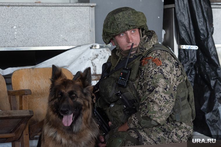 ��� ����������� ����������� ��� �������� � ��������� � ����������� �������: ������� �� 12 �������