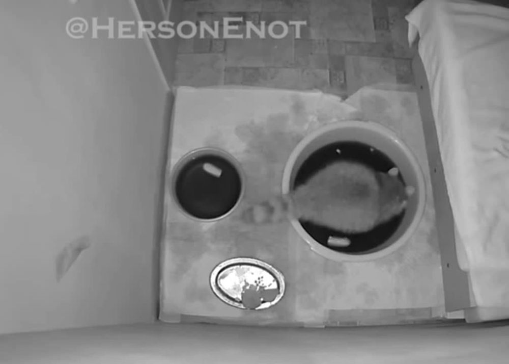 ���� �� �������: ������! ������� ���� ����� ������, ������� � ����� ������!