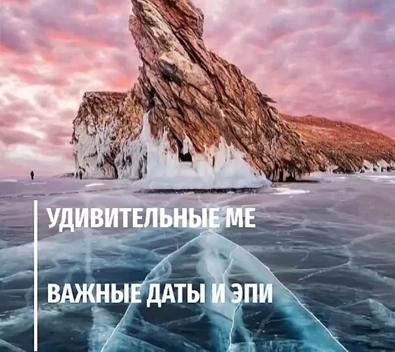 ��������, ����������� telegram-����� @zvezdalive ��������� ������ ����������� ����������� ��������
