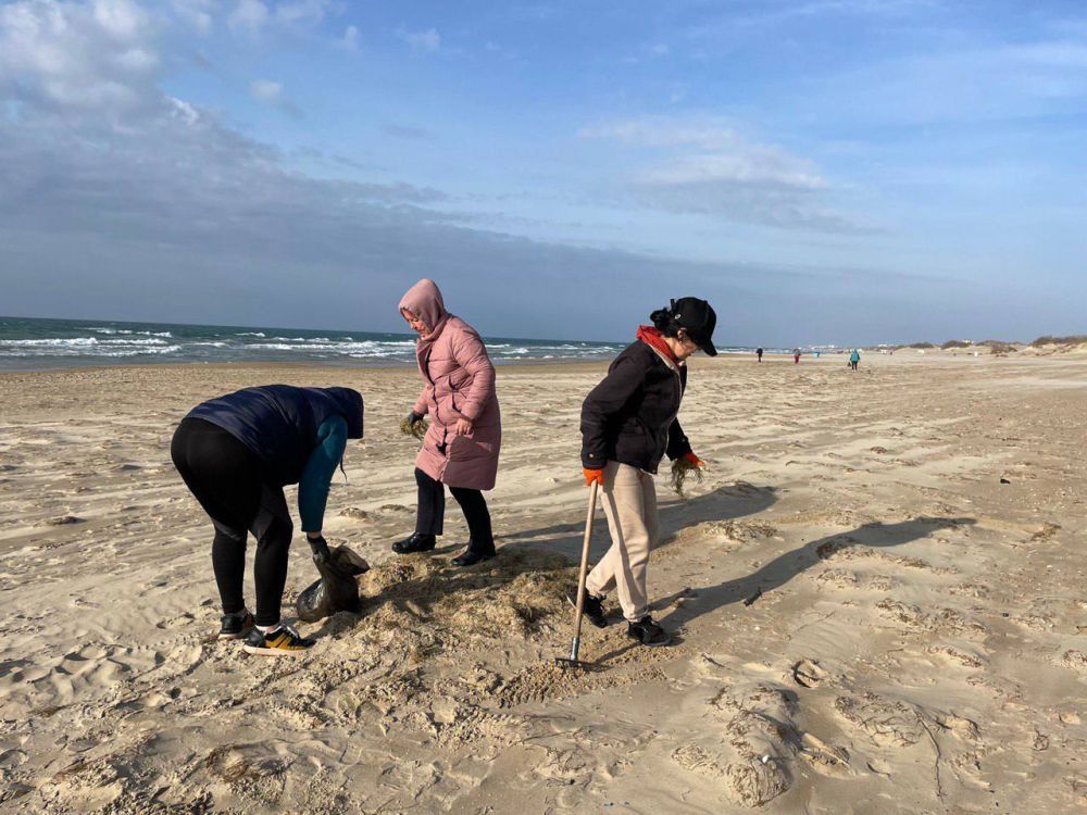 �������� ������������ ��������� � �����. ����