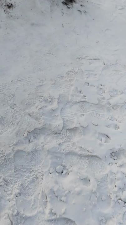 �� ������������ ��������� ��� ������ ����� ��������� ���� � ����� ����������