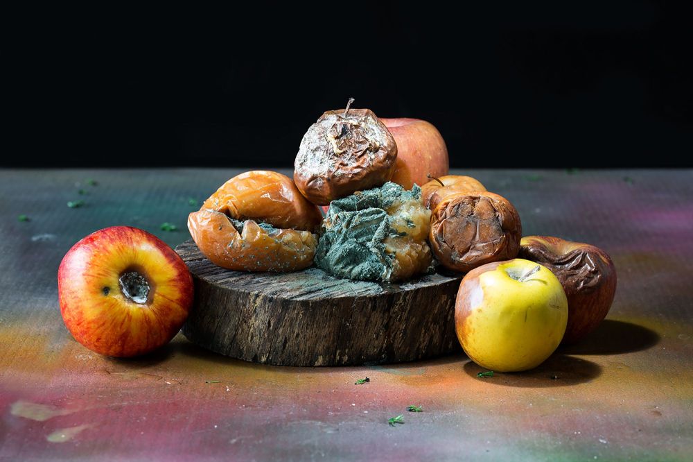 ������� ������ ��������� ������� �������. ����