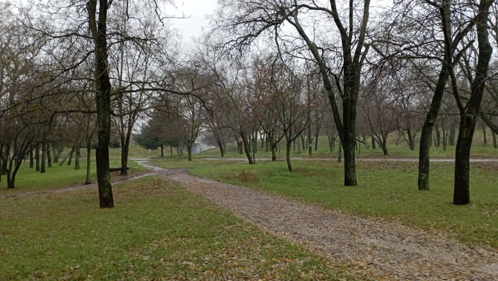 ������ �������. ������