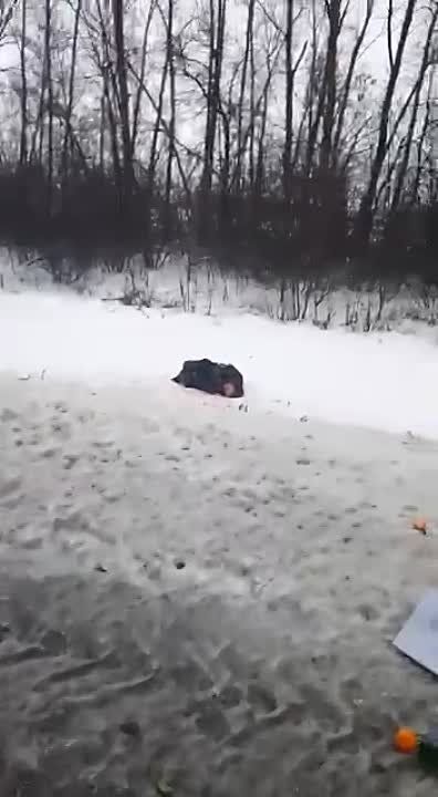 �������������� � ����������� ������� � ������������ �������