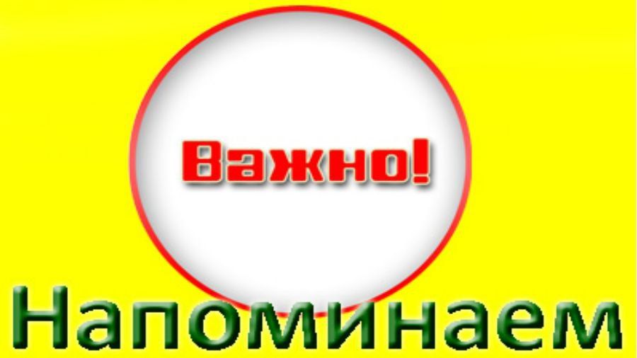 ����������� ������-����������� ������������� �����������