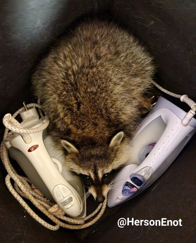 ���� �� �������: �������� �������� �������!