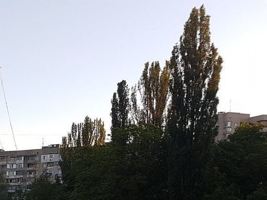 ������: ���������� ��� �������� ������� ������� ����������� ���������� ��, ������� ������