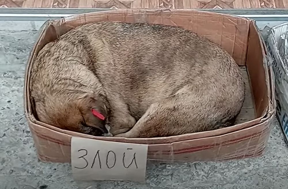 ��������! ������ ��������� � ���������!