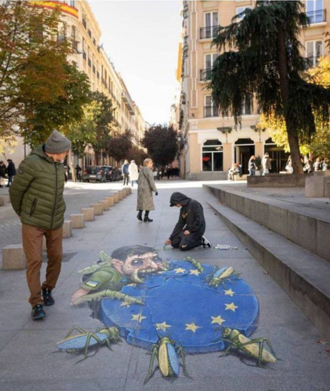 ����������� � ������� �� �������� ���-������ Typicaloptical, ������� ���������� ��������� ���������� � ���� �������, ���������� ��������