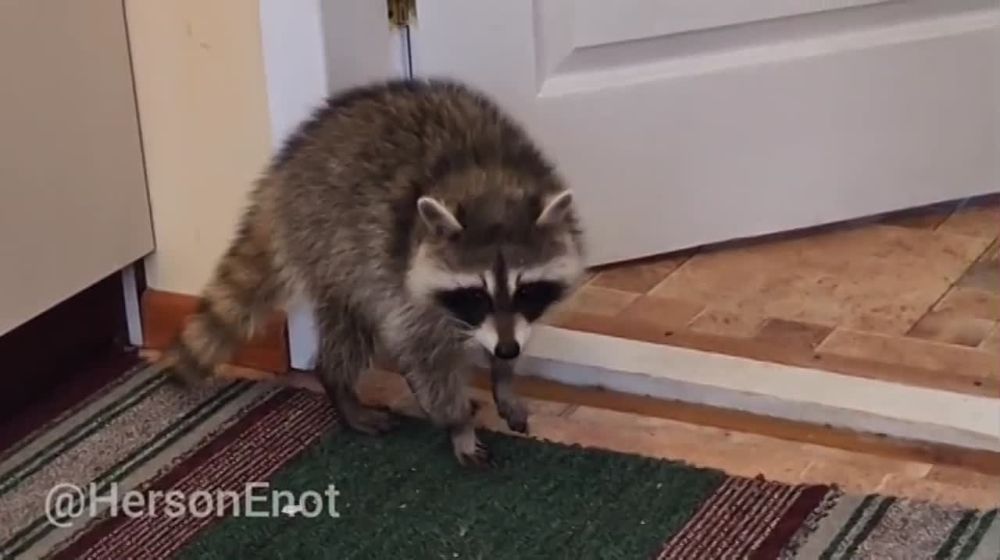 ���� �� ������� �������� ������� ���������� �� � ������ ���� ����������� ����! �������?