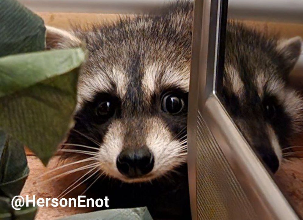 ���� �� �������: ������� �� �� ������ ��� ����!