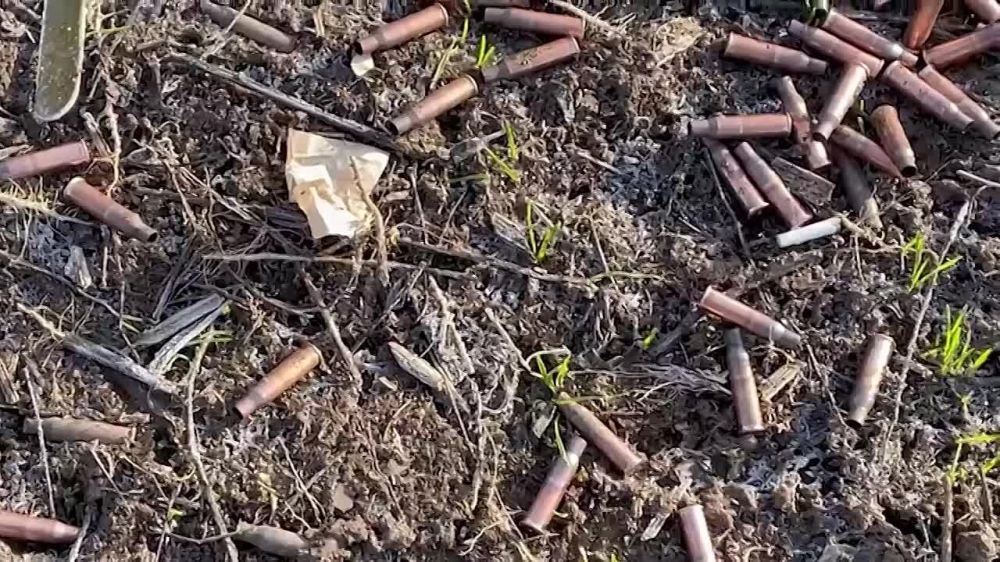 ����� ������� ������ � � ���������� ������� �� �������� �� ������������ ������ ��������������