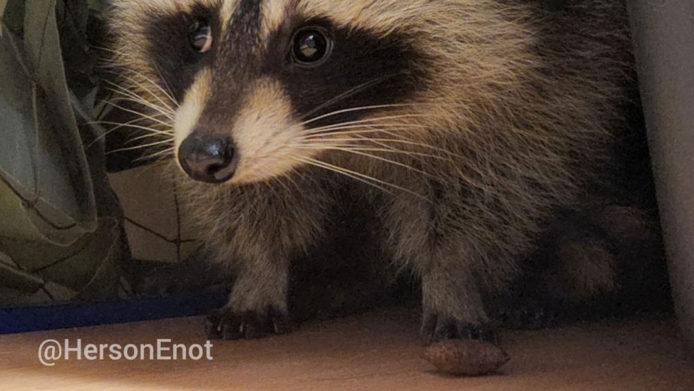 ���� �� �������: ������� ��� ����! ����������� ���������� ����� ������� ������ �� ���� � �������, ��� � ������� � �� ����������