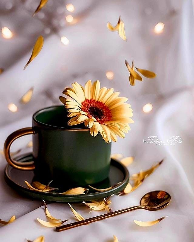 ������� � ������ ���� ����� ��� ��������� ���