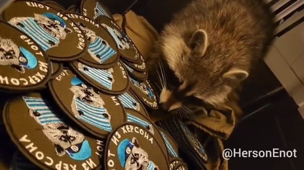 ���� �� �������: �� ���� ����� ������ ������ ����������� �������� � "������ �� �������"!