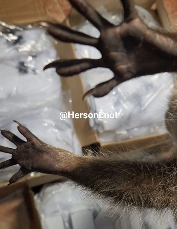 ���� �� �������: �������� ���, ������!