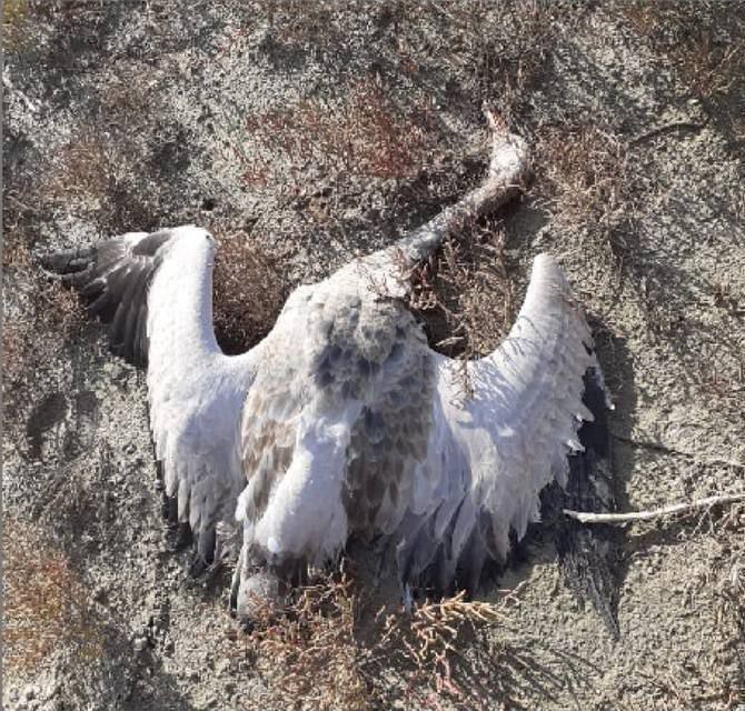 � ���������� ������� ��������� ���� ��-�� ���������� �� ����� 800 ����� ��������, ��������� � ������� �����