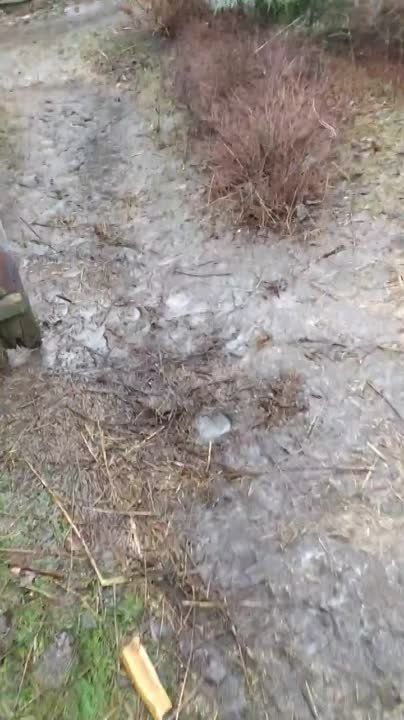 ��������� ����������� �������