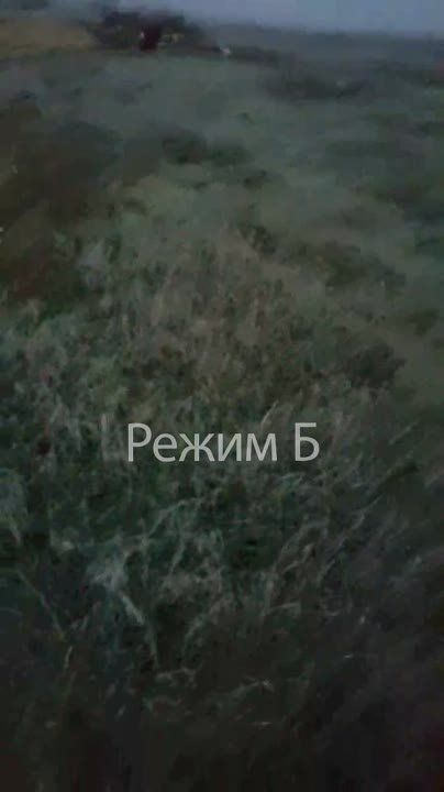 ����� �����: ����� 37-�� ����� ��������� ���� ����� ������� � ����������� �����������