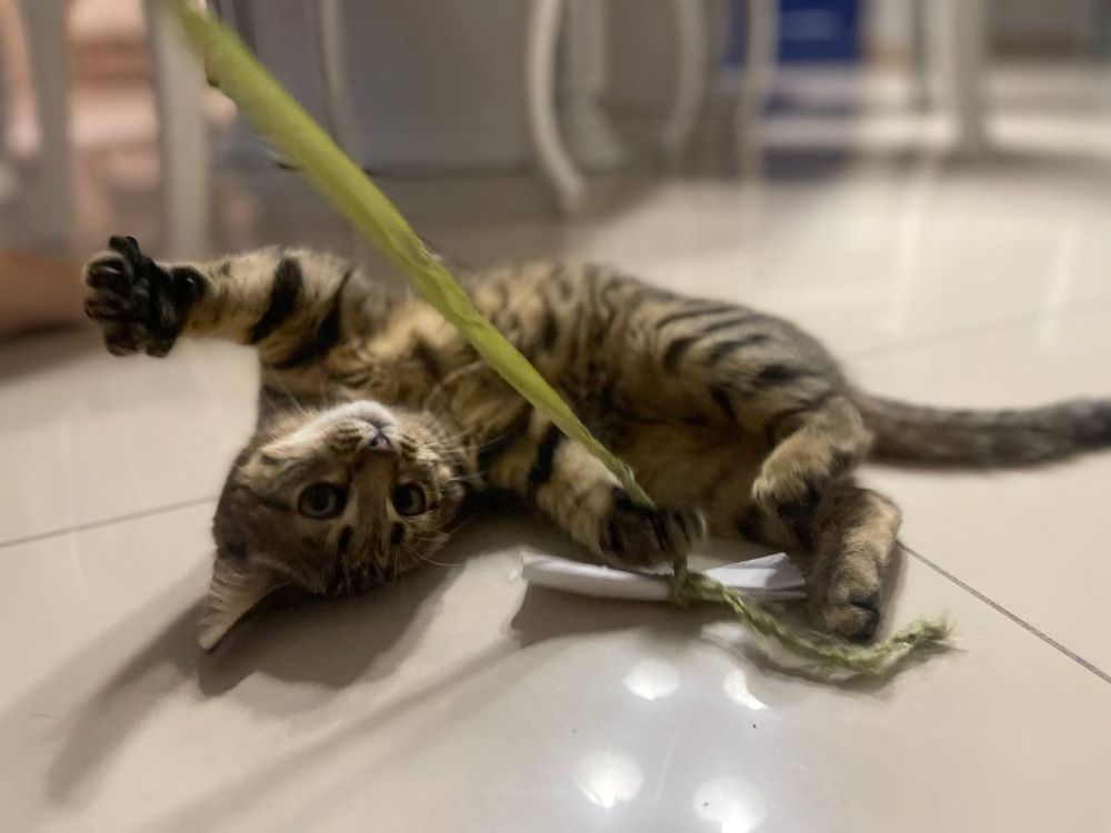 ���� ���������: ������� ���������� ����! �������� ��� �� ��������! ������� �������, ������ �� ����, ��� ������� � ��������, ����� ����� ����� �� ������������ ����� � ����, �� ����� ������������ - � ���� ����� ������ �������� �����!