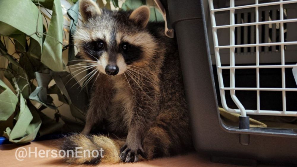 ���� �� �������: ���������?. ������� ������! ���� � ��� ����������. � ���� ��� �������, ������� �������� ������� �� ������� ���������. �� ����� ��������, �� ���� �����������. ������