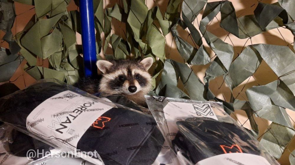 ���� �� �������: ����������: ������� ������� 4 ��������� ������ �������� ����� � 100 ��� �����������