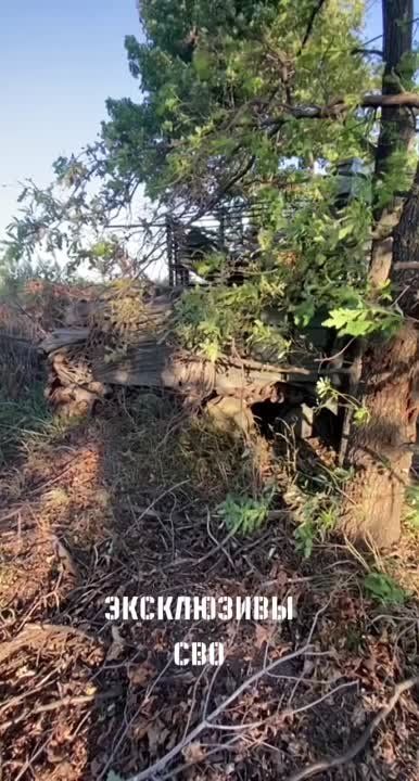 ���������� ������� �� ���� ����� �-64�� ��� � ���������� �������