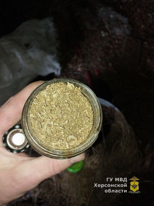 � ������������ ������������� ������ ����������� ����� ��������� � �������� ���