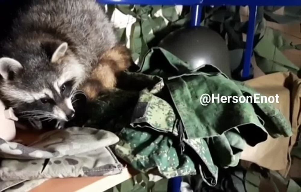 ���� �� �������: ������, ���� �����!. ������� ��������������. � � ���� ����� ��� ������� ������� ����� ��������� � ������� ������� ���� ������