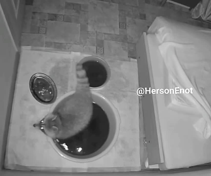 ���� �� �������: ������! ������� � ��� ��� ����� ������������ ����!