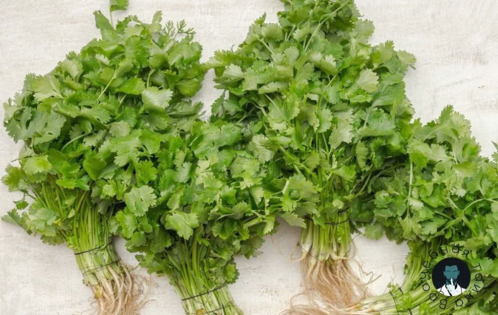 ��� ���� ����� ���� ������?