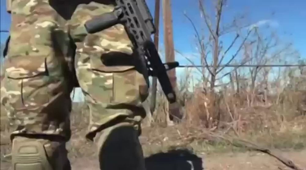 �� RT� ����� �������������� ����� � ��� �������