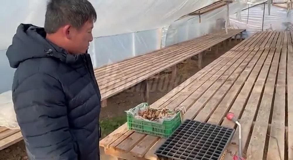 ��� ������ �� ����������� ������ ��������� � ����������, � �������� ����������� ������� ������� � ������� ���������� ��������� � ��������������� ������