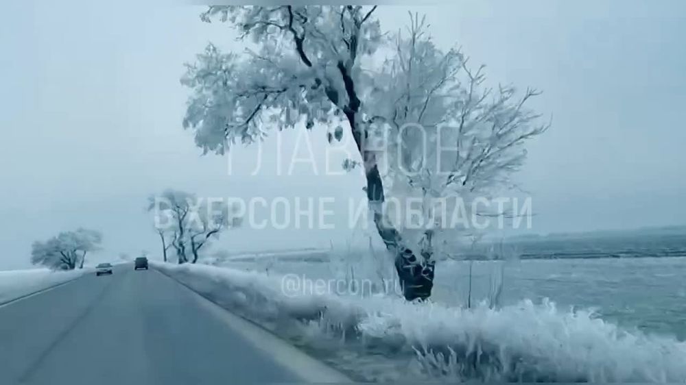 ���� � ����� ������ ���������� �������