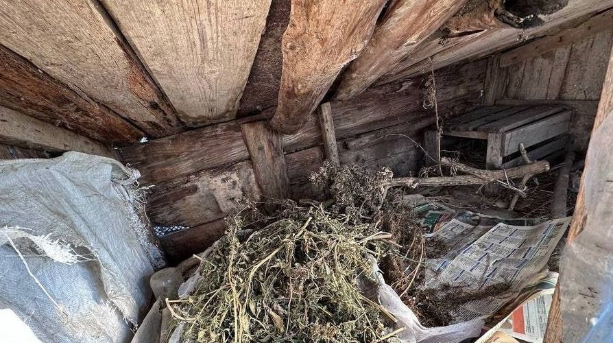 ������� ������ � ������������ ������ ������ �������