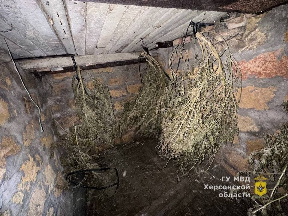 ����������� � ������������ ������������� ������ ������ � �������� ������ 6 �� ���������