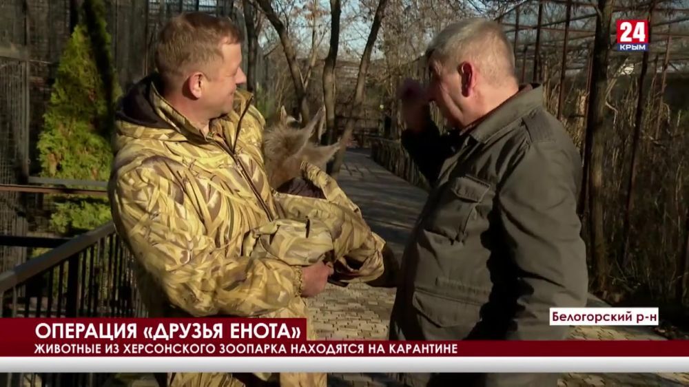 �� ���������� ������� � ���� ��������� ������, ����� � ��������� ���������