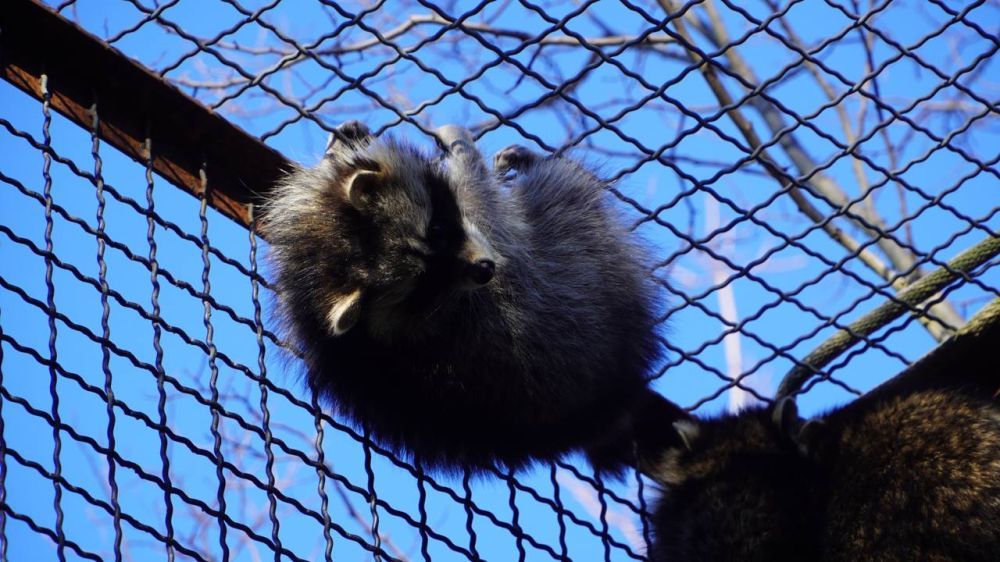 ��� � ����� ����� ����� �� �������, ������� �������� �� ���������� � ������